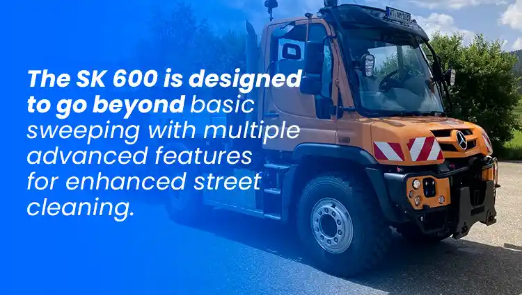 Wasa 300