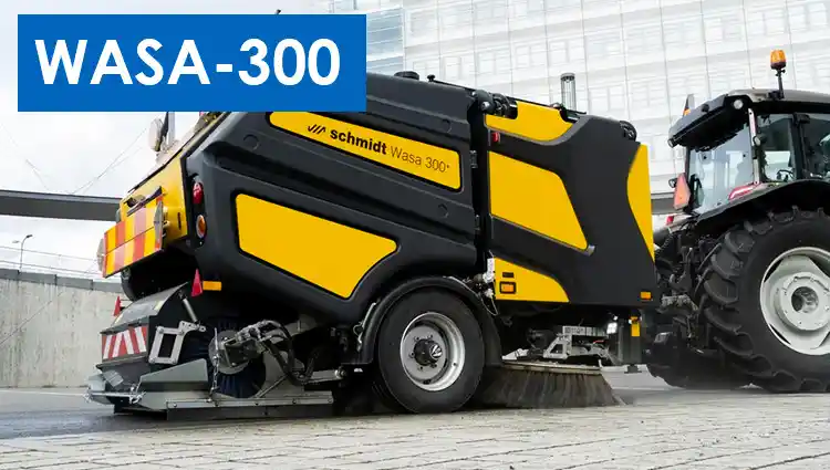 Wasa 300